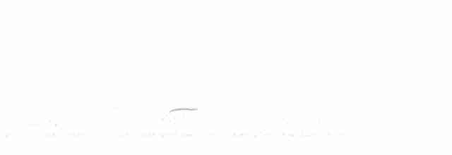 Дрізд-короткодзьоб Cвенсона - ML618520410
