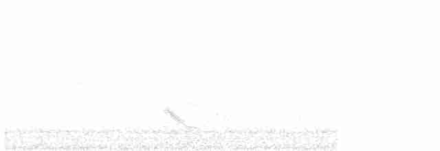 Дрізд-короткодзьоб бурий - ML618520413