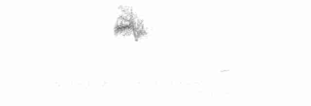 Кузнечиковая овсянка-барсучок - ML618520417
