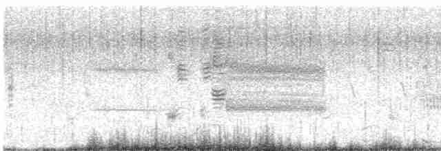 pygmérørdrum - ML618520719