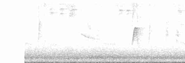 Acadian Flycatcher - ML618521153