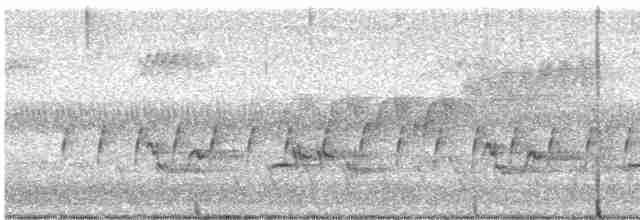 Cerulean Warbler - ML618521848