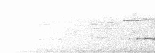 Желтоголовый шалашник - ML618522060