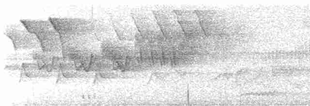 Cerulean Warbler - ML618522292