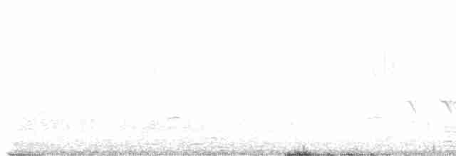 strnadec bělohrdlý - ML618522449