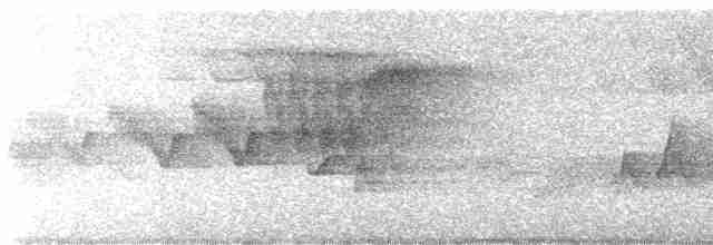 Cerulean Warbler - ML618522824