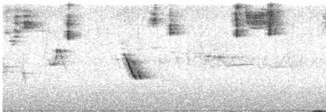 Пестрогрудая овсянка (Лисья) - ML618523668