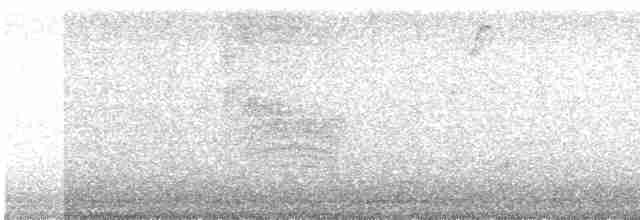 Пересмішник сірий - ML618523948