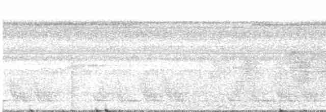 Тиран-інка буроголовий - ML618525131
