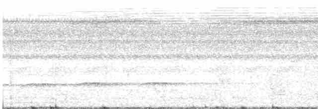 Тиран-інка буроголовий - ML618525185