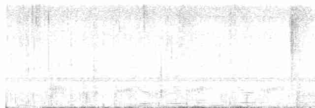 Keel-billed Toucan - ML618526014