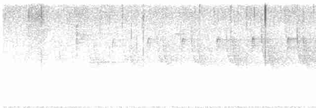 Дроздовый певун - ML618526069
