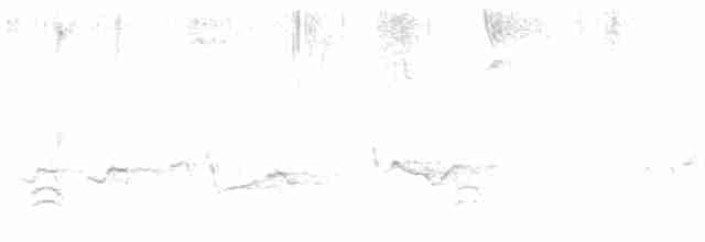 Weißbrustkleiber - ML618526459