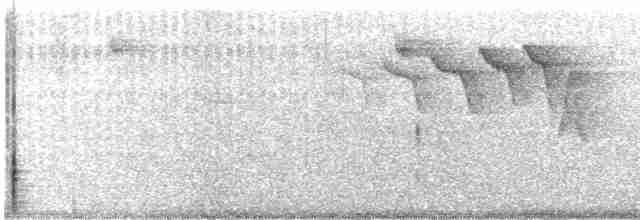 Common Tern - ML618526486