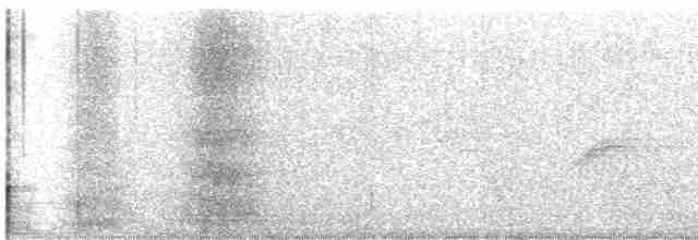 Prairie Warbler - ML618526905