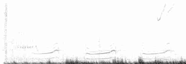 アメリカオオソリハシシギ - ML618527033