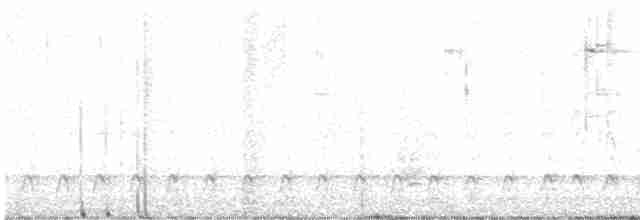 Pileated Woodpecker - ML618527105