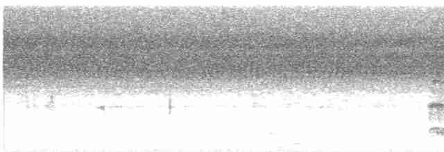 Серый петух - ML618527250
