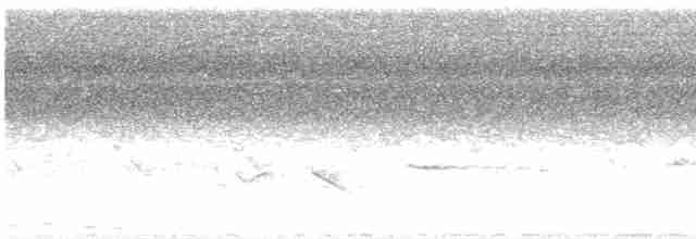 Серый петух - ML618527251