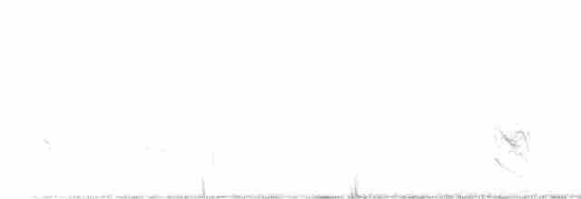 Длинноклювый пересмешник - ML618527377