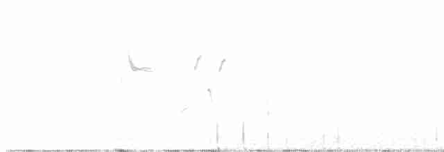 svartstrupespurv - ML618527587