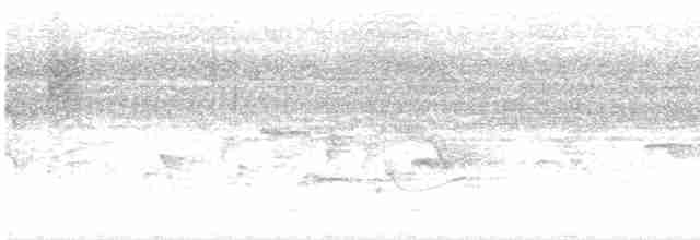 Пятнистогрудая тимелия-говорушка - ML618527590