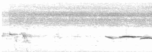 Streifenbrust-Erddrossling - ML618527591