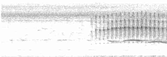 Бурошапочный острокрылый дятел - ML618528180