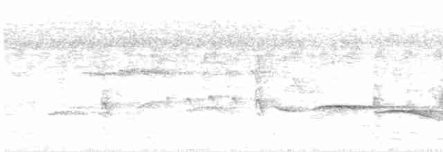 インドカンムリアマツバメ - ML618528211