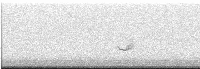 Kara Kanatlı Piranga - ML618528312