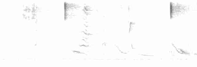 Пересмішник сірий - ML618528725