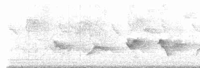 Kara Kanatlı Piranga - ML618529071