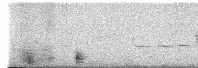 Sharp-tailed Grouse - ML618529704