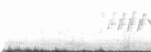 Yellow Warbler - ML618529847
