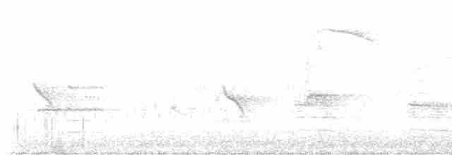Evening Grosbeak (type 1) - ML618530591