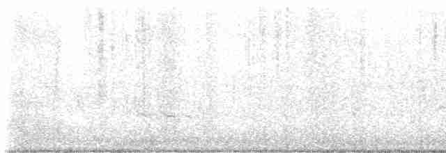 Трясогузковый певун - ML618531227