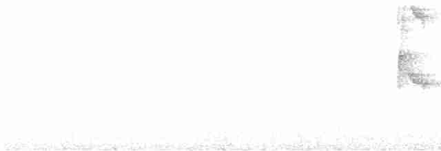 Sarı Karınlı Bülbül Tiranı - ML618531332