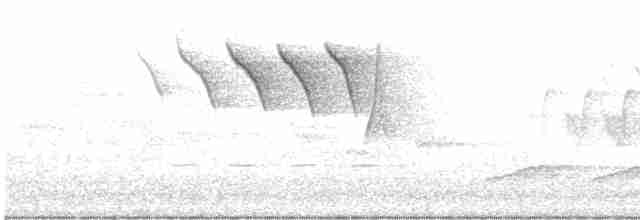 Cerulean Warbler - ML618531814