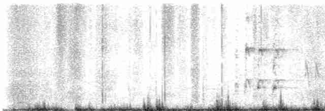 Средний кроншнеп - ML618531968