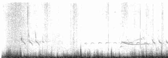 Короткоклювый бекасовидный веретенник - ML618532074