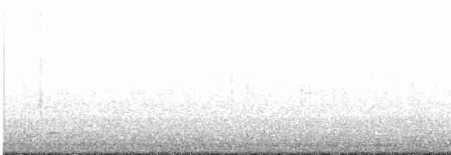 gråkinnskogtrost - ML618533562