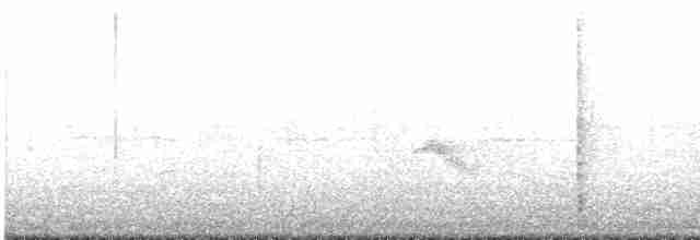 Дрізд-короткодзьоб малий - ML618533564