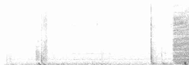Pileated Woodpecker - ML618533869