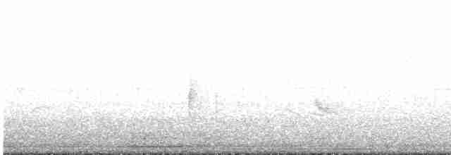 Kara Kanatlı Piranga - ML618535158