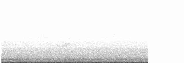 Kara Kanatlı Piranga - ML618535159