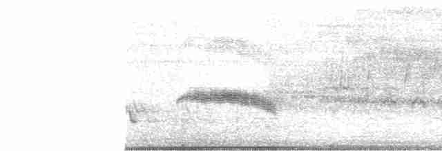 Chalk-browed Mockingbird - ML618535706