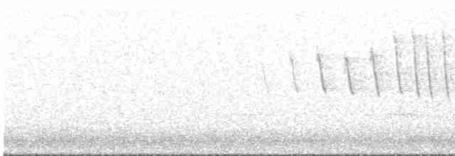Paruline à calotte noire - ML618536238