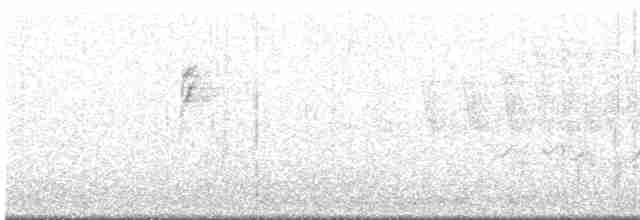 strnadec bělopásý - ML618536254