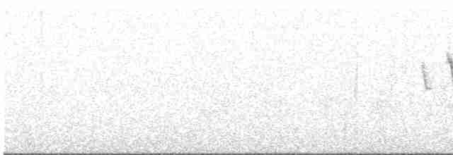 Paruline à calotte noire - ML618536760