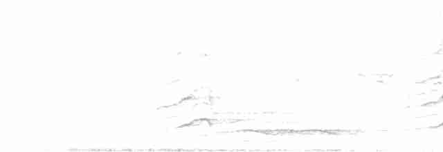 Зозуля білогорла - ML618536819